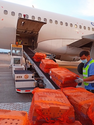 柳州機(jī)場(chǎng)貨運(yùn):特殊旅客&ldquo;雞苗&rdquo;運(yùn)輸背后的故事